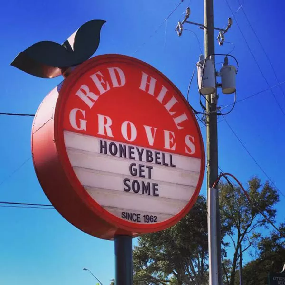 Image: Best Little Bit of Old Florida Left in South Orlando