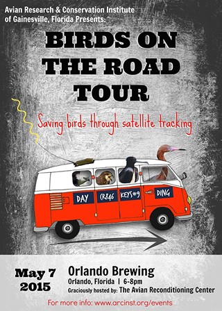 Birds on the Road Tour