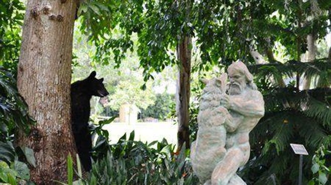Black Bear Looks On, Laughs As Naked Dude Strangles Wolf