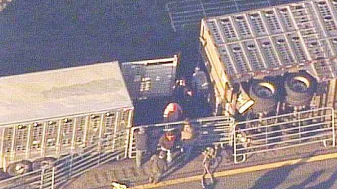 Truck full of cows crashes on Florida Turnpike