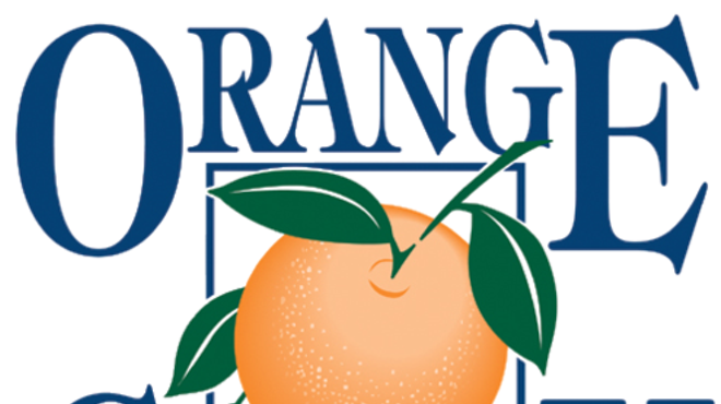 New Orange County Charter Review Commission appointees announced, many with Textgate links