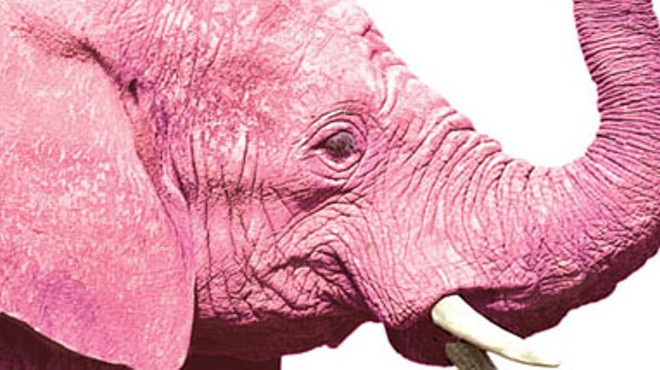 The pink elephant in the room