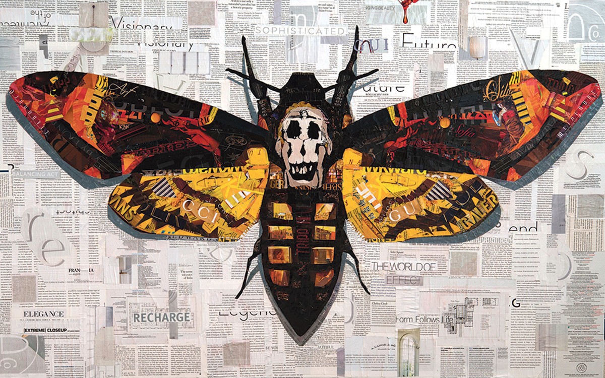 "Moth" by Dominic DaSylva