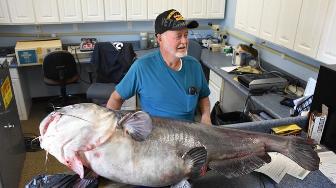 Florida man gets screwed out of record books after catching monster catfish