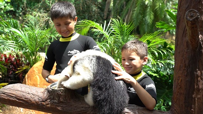 Discovery Cove offers new Animal Trek behind-the-scenes tour