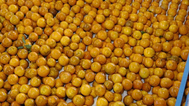 Florida citrus farmers end season on gloomy note