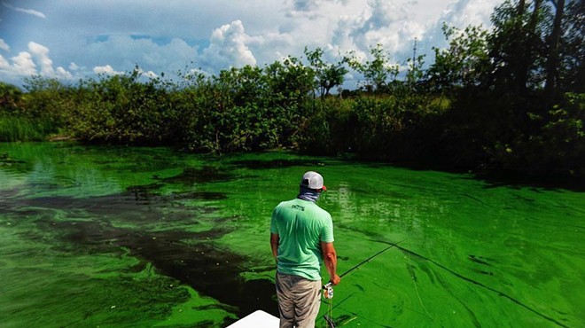 Watch this video of the effects from Lake Okeechobee's toxic discharge