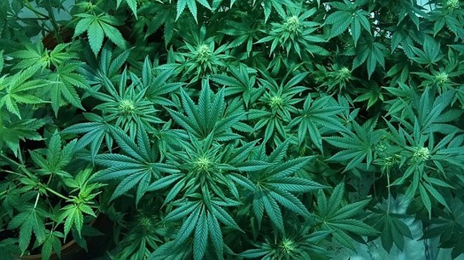 Florida's smokable medical marijuana case remains up in the air