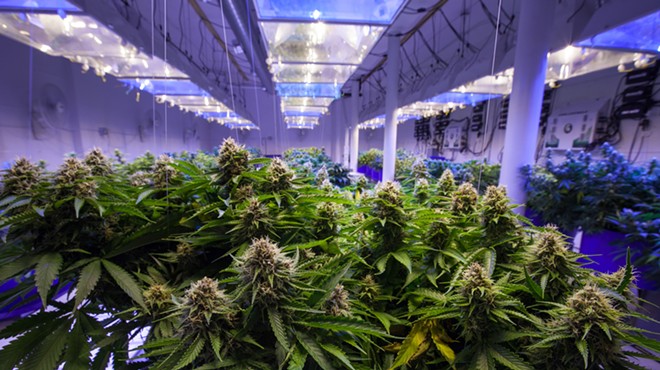 Judge rejects Florida's cap on medical marijuana dispensaries