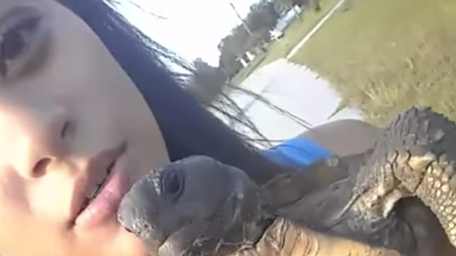 Florida woman 'saves' land-dwelling tortoise by throwing it into a lake