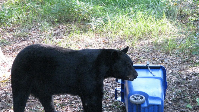 A test of a bear-proof trashcan held by the FWC.