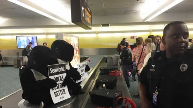 PETA protester dressed as orca arrested at Orlando airport