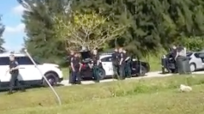 Video allegedly shows Fort Myers police giving man a full cavity search on side of road