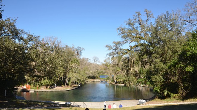 Mad as hell about the proposal to cash in on state parks? Join activists at Wekiwa Springs on Feb. 13 to protest