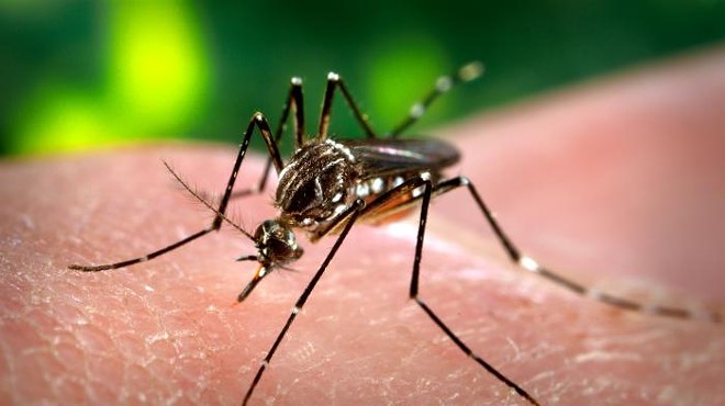 Orange County gets its first case of Zika virus