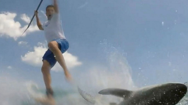 Watch this shark plow into a Florida paddle boarder