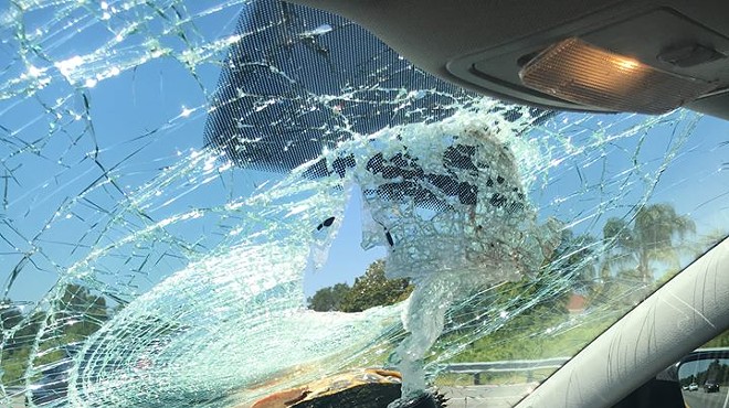 Turtle crashes through windshield on I-4 because of course it did