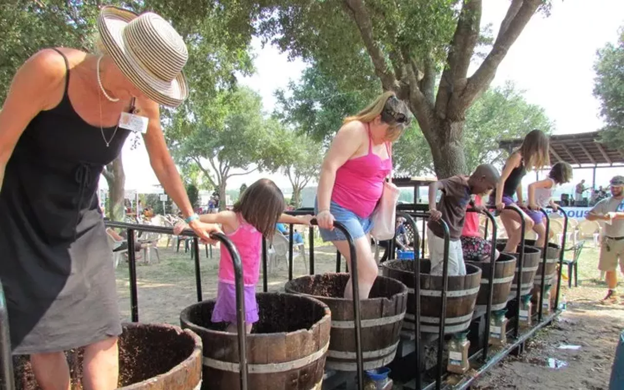 Image: Harvest Grape Stomp