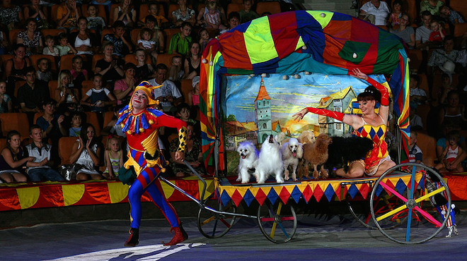 The Menestrolli Dog Circus is coming to Artegon this weekend