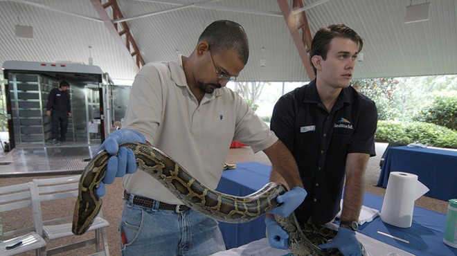 Exotic Pet Amnesty Day allows people to turn in animals, no questions asked