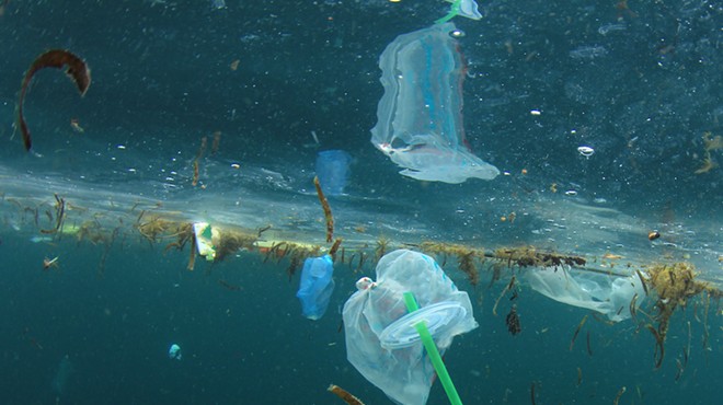 Florida lawmakers vote to ban cities from banning plastic straws