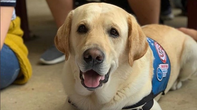 Marjory Stoneman Douglas High School's Florida therapy dogs get their own yearbook page