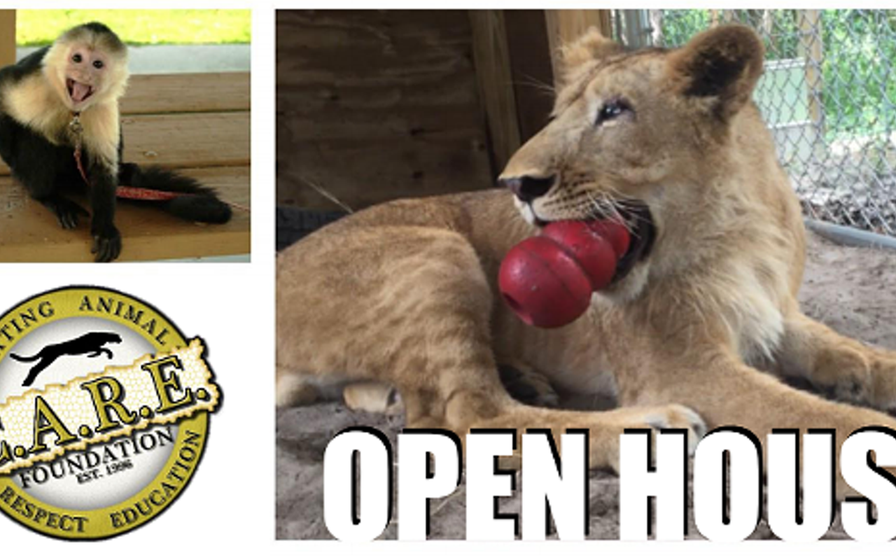 Image: Open House