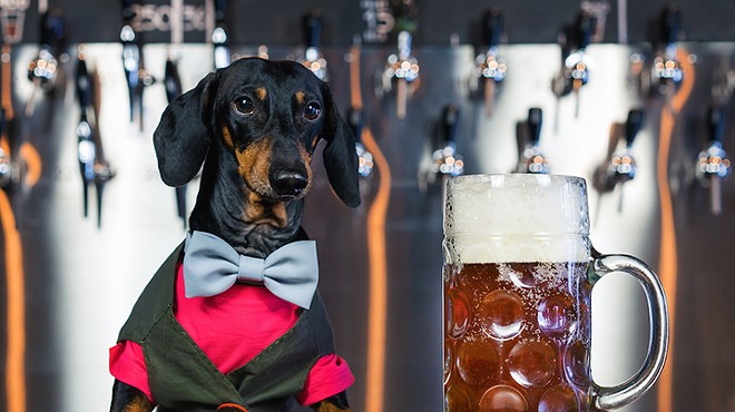 Bring your pooch to your favorite bars for Mills 50's Dog Day Afternoon Pup Crawl