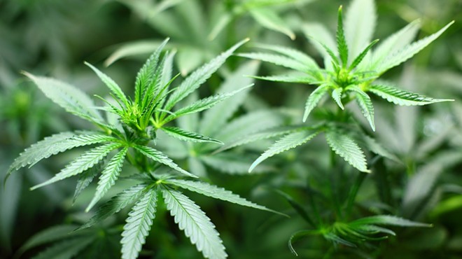 Legal marijuana causes headaches for local officials