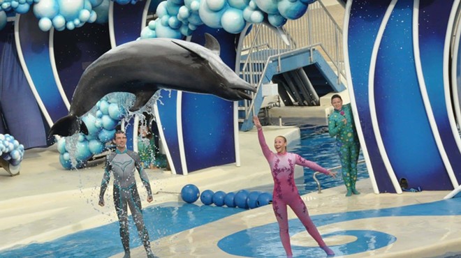 SeaWorld Orlando offers Florida teachers free admission for a year