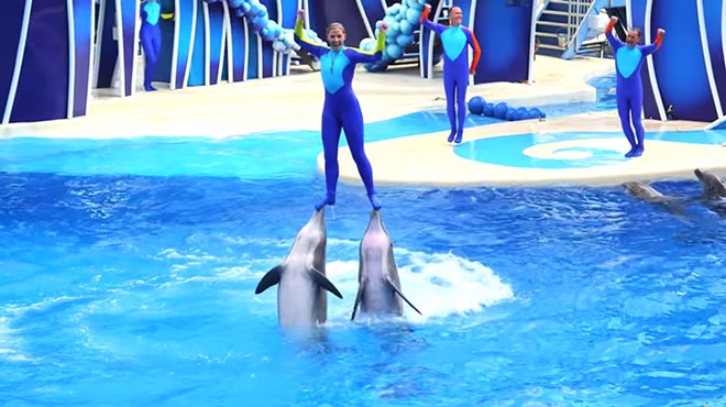 TripAdvisor's ban on shows with captive whales and dolphins could hurt SeaWorld