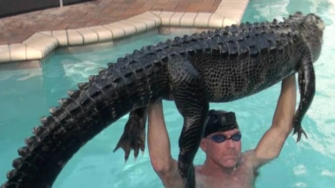 Shirtless Florida man removes 9-foot alligator from swimming pool