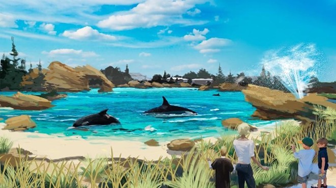 An artist's rendering of the canceled Blue World orca habitat at SeaWorld
