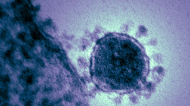 Florida awaits confirmation on fourth case of coronavirus