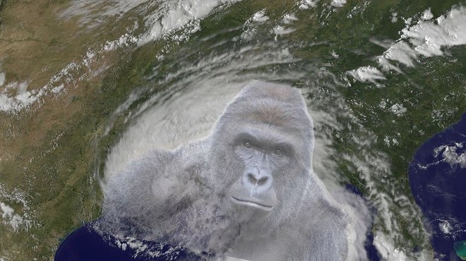 National Hurricane Center still hasn't added Harambe to list of storm names