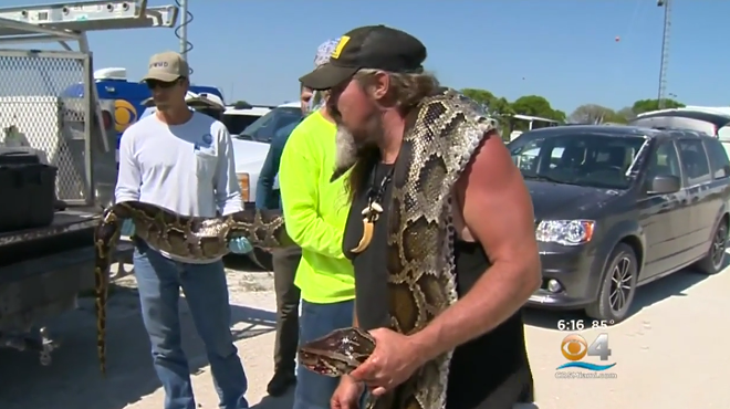 Of course a guy named 'Wildman' caught a 17-foot Florida python
