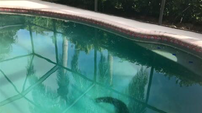 Always check before you jump in a Florida pool