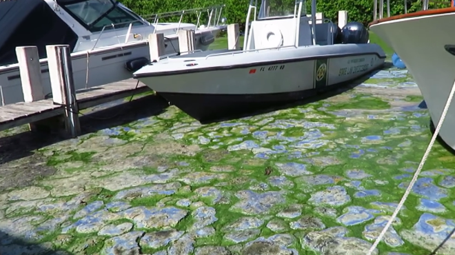ACLU: Florida failed to warn public of danger during toxic algae bloom crisis