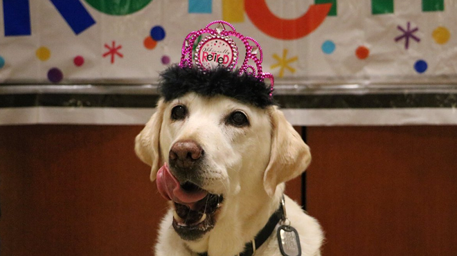 Orlando International Airport gives service dog a well-deserved retirement party