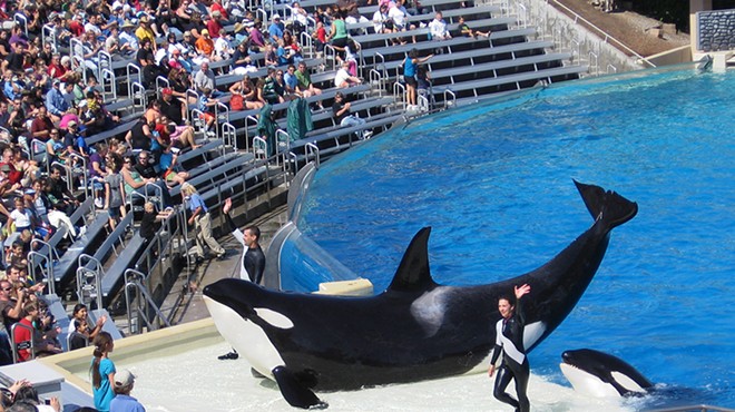 Former SeaWorld president working with feds in 'Blackfish' investigation