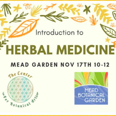 Introduction to Herbal Medicine
