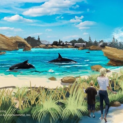 An artist's rendering of the canceled Blue World orca habitat at SeaWorld