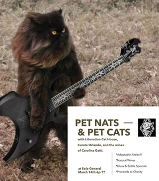 Pet Nats and Pet Cats