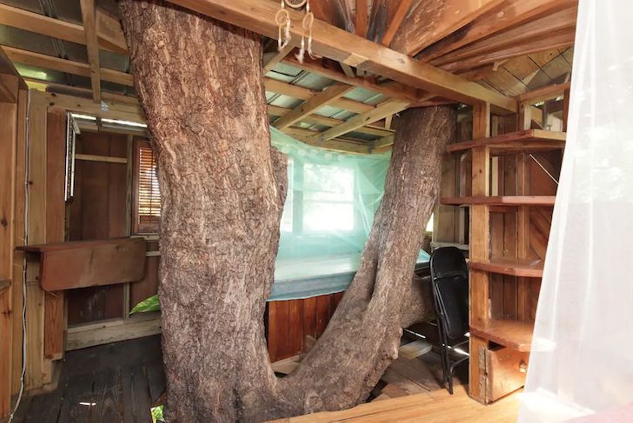 Treehouse Canopy Room: Permaculture Farm
2 guests, 1 bedroom, 1 bed, 1 shared bath
Estimated price per night: $65 
The living quarters are up on a Pithecellobium tree. 
Photo via Airbnb