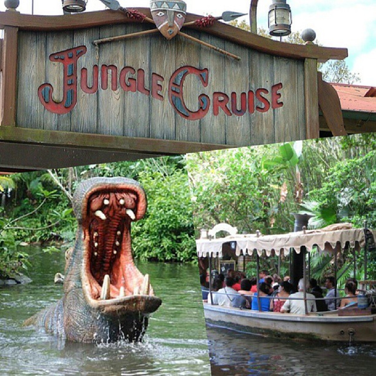 The water in the lagoon of the Jungle Cruise is tinted green to hide the tracks. But don't worry &#150;&nbsp;Disney says the coloring it uses is biodegradable and environmentally friendly.