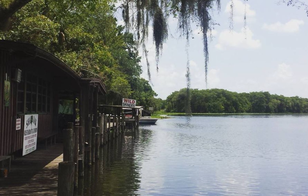 Shady Oak Restaurant 
2984 W State Rd 44, Deland, FL 32720
Enjoy St. John's catfish, frog legs, and gator bites at the casual dining atmosphere of Shady Oak located in the nearby DeLand area.
Photo via schwartz87/Instagram
