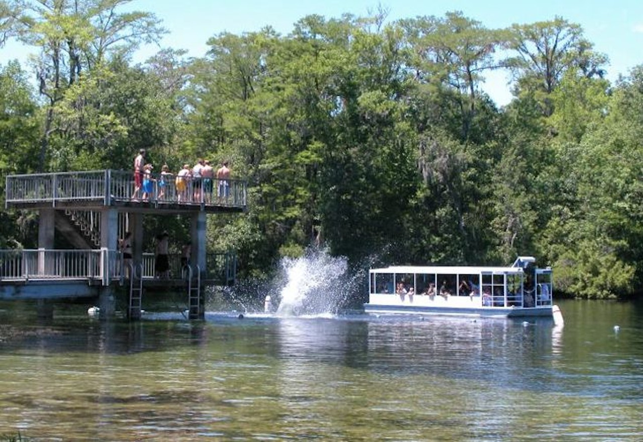 Edward Ball Wakulla Springs State Park   
465 Wakulla Park Drive, Wakulla Springs, 850-561-7276
Edward Ball Wakulla Springs is the world&#146;s largest and deepest freshwater spring and has been the backdrop for movies in the 1940s and 1950s. Guests are free to snorkel, swim or scuba dive the many waterways and sinkholes in the park.
Photo via Florida State Parks
