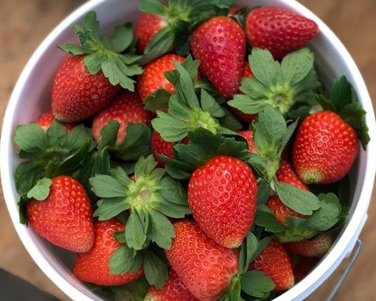 
Mick Farms
4261 Canoe Creek Rd., St. Cloud, 321-231-5540
South of Orlando, Mick Farms opens every Monday, Wednesday and Saturday at 10 a.m. for strawberry picking. Buckets are $3/lb and they also have a vegetable stand on-site with fresh, farm grown produce.
Photo via Mick Farms/Facebook