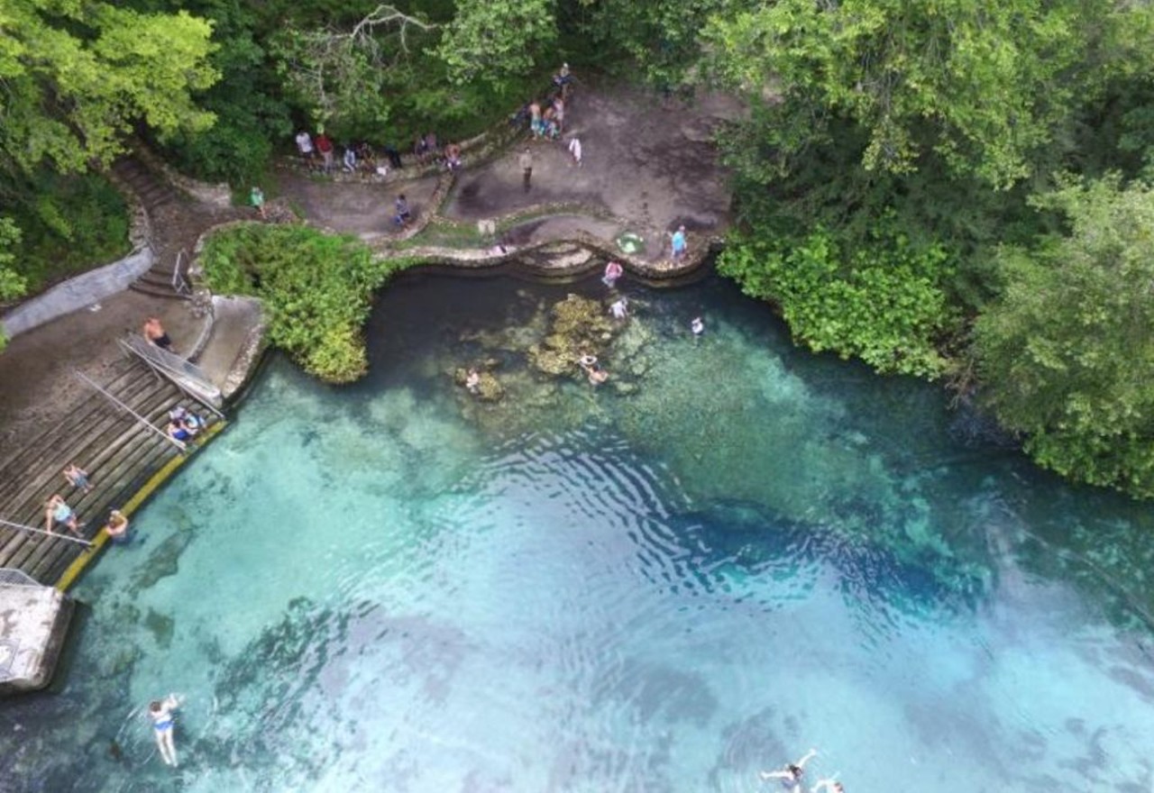 Ichetucknee Springs 
12087 S.W. U.S. Highway 27, Fort White
There are eight springs that actually connect to create the Ichetucknee rivers, and all over them allow visitors to completely immerse in the natural habitat of Florida wildlife.
Photo via Ichetucknee Springs/website