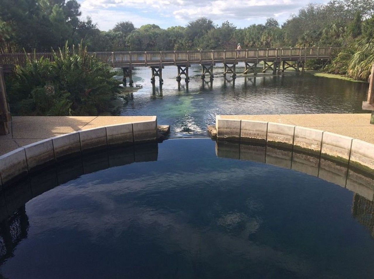 Wall Springs Park 
3725 De Soto Blvd., Palm Harbor
This spring was used as a spa twice throughout it&#146;s modern history, and if that doesn&#146;t just make you want to go relax in the water, nothing will.
Photo via Wall Springs Park/Wikimedia, Tlyle Shep3rd